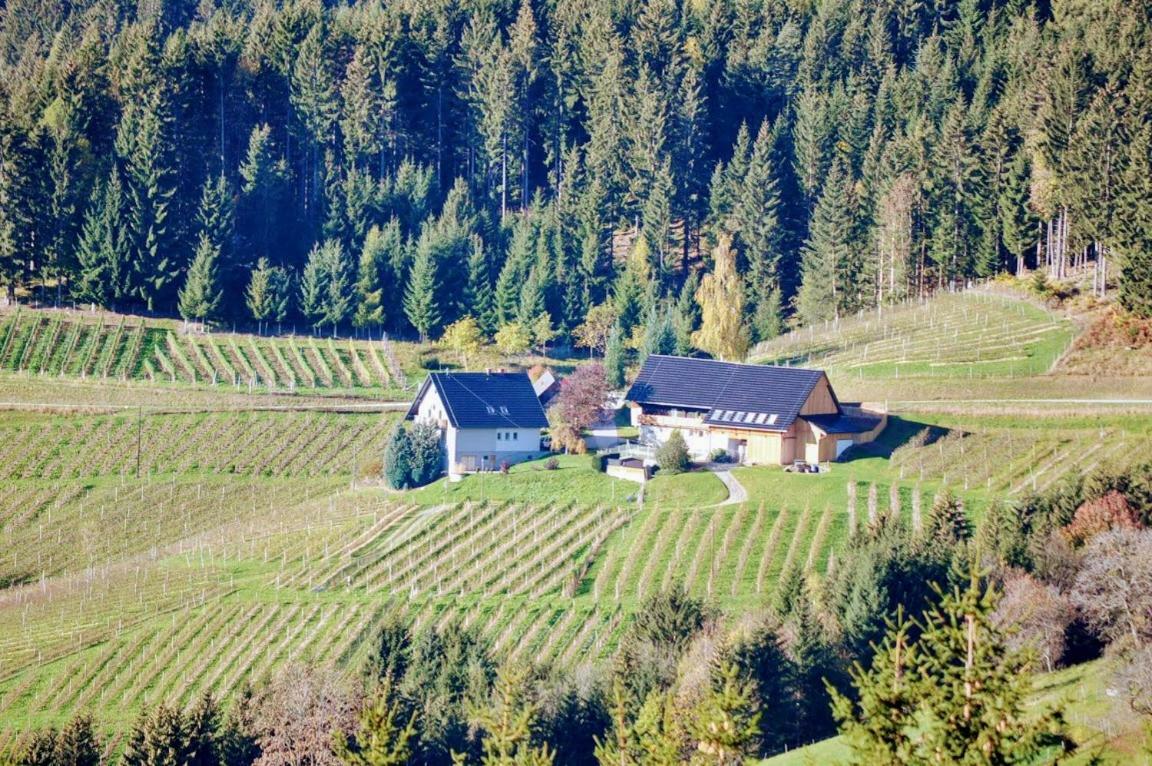 Ferienwohnung Kochs Beeren Oberfresen 外观 照片
