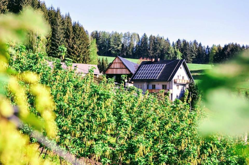 Ferienwohnung Kochs Beeren Oberfresen 外观 照片